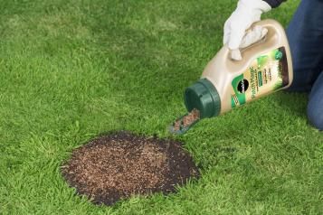 Lawn Patch Repair Fix Patchy Grass Easily Love The Garden